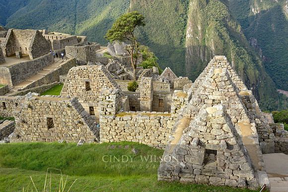 Machu Picchu 598