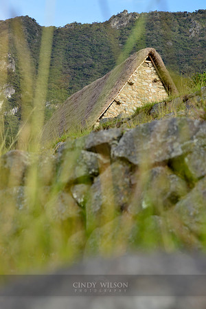 Machu Picchu 623