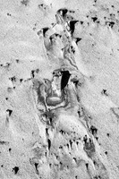 Glyphs in Sand