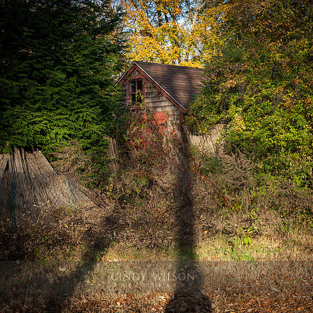 Shadows on a Shed