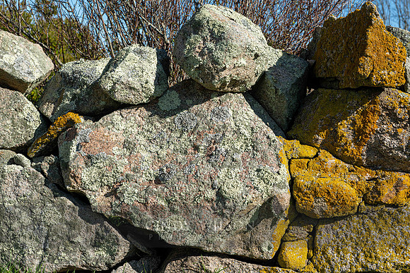 Cat Profile in a Stone Wall, Turnip Farm