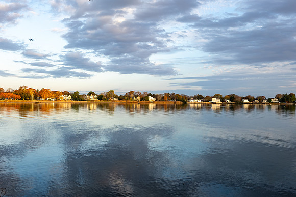 Morning Stillness, Poplar Point