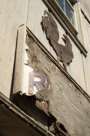 R is for Rooster