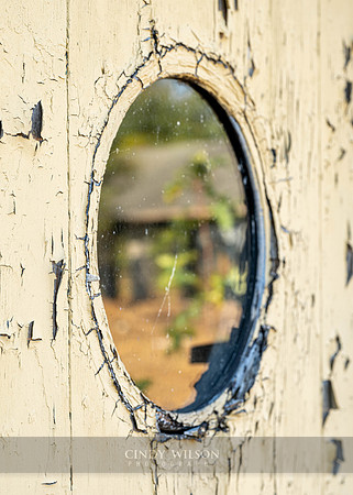 Oval Reflection