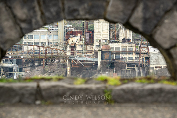 Paper Mill