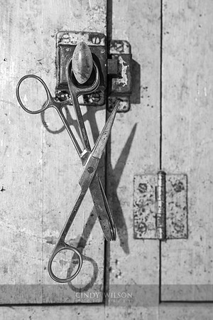 Scissor Shadows