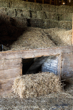 Hay Chute, Pattersonville, NY