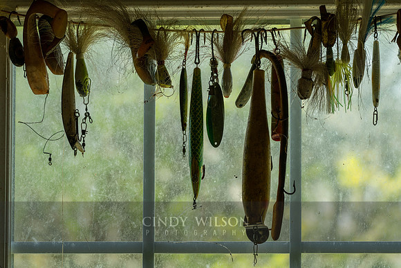 Lure Display