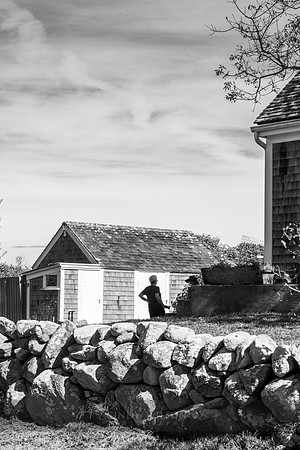 Turnip Farm, Beacon Hill