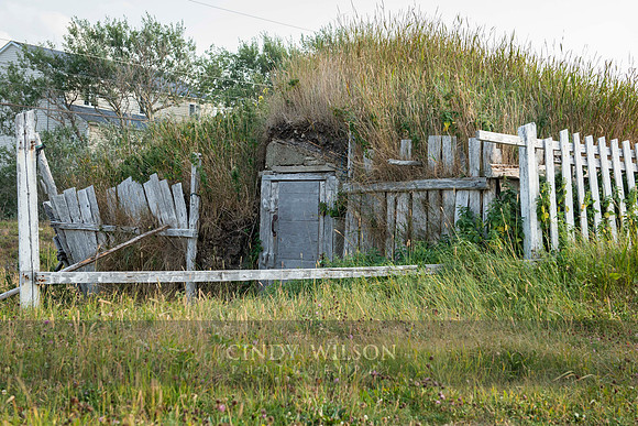 Root Cellar Behind a Fence, Twillingate