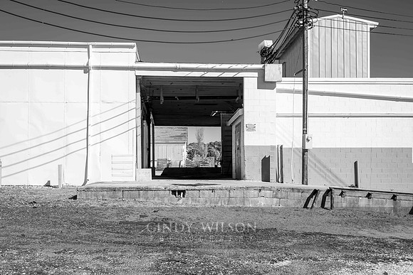 Fish Processing Plant, Atlantic, NC
