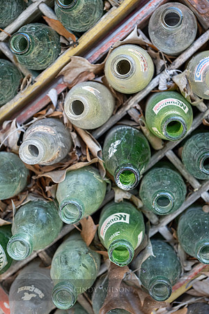 Bottle Pops