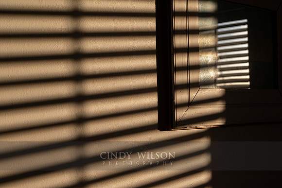 Blind Afternoon