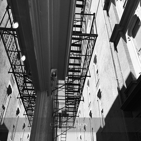 Escape Shadows, Providence