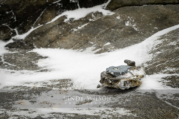 Reely Washed Up