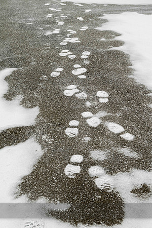 Ghostly Steps