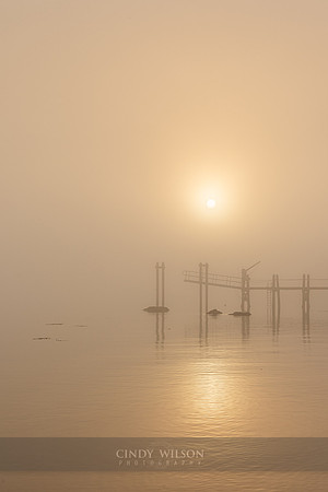 Dock in the Mist, Wickford