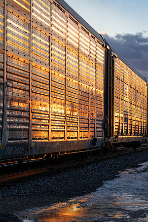 Corrugated Light