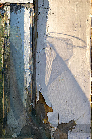Shadow of a Hoop