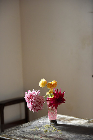 Cut Flowers, Furnas