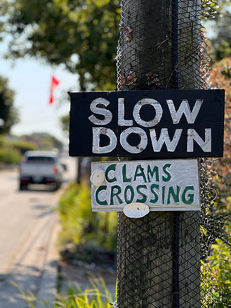 Clam Crossing