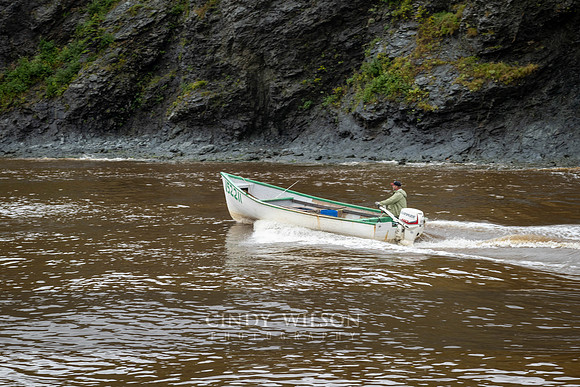 Returning from Sea, Trout River