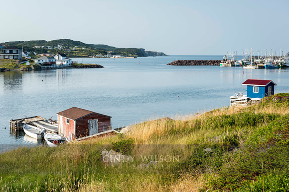 Twillingate Overlook