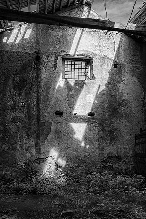 Beautiful Ruins, San Marco