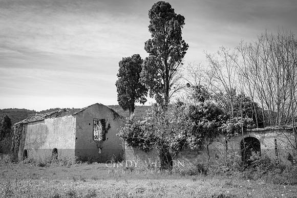 Remnants in a Landscape, San Marco