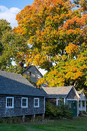 Fry Farm, Autumn