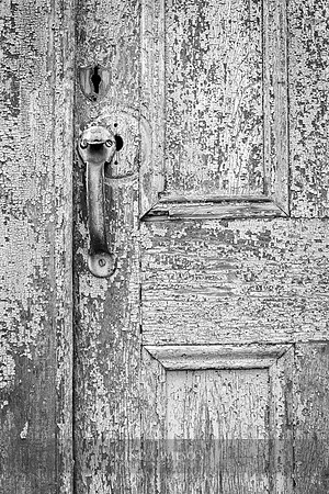 Back Door
