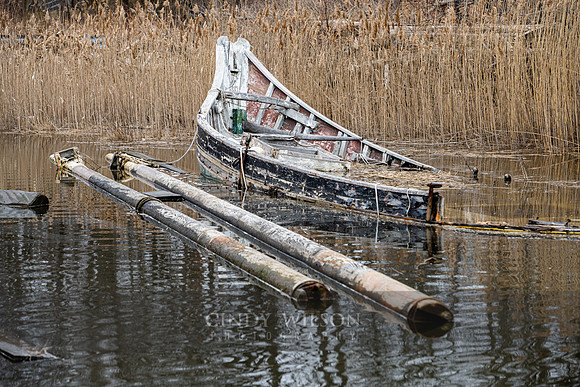 Remember the Maine