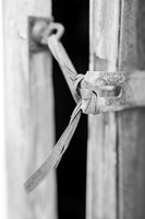 Tied Down