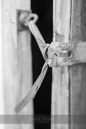 Tied Down