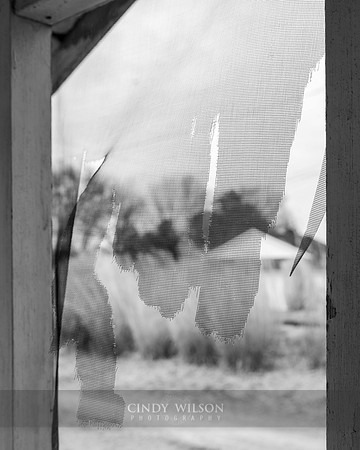Torn Curtain