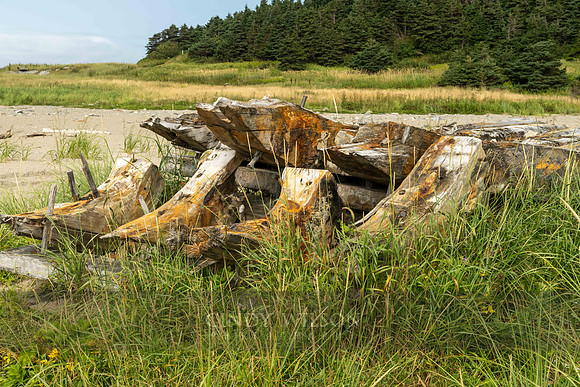 Ship Bones, Cape Ray Beach