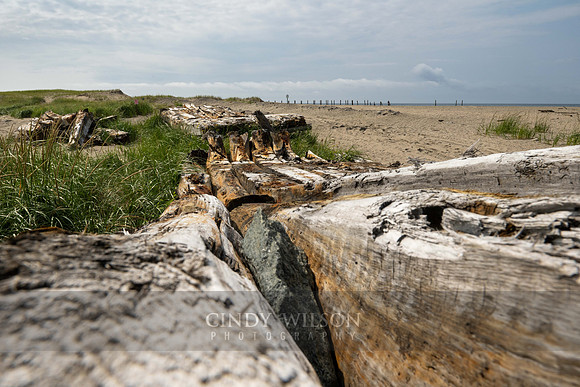 Shipwreck, Port aux Basque