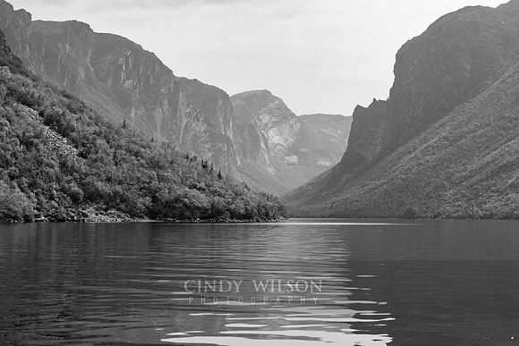 Fjord, Western Brook, 2024