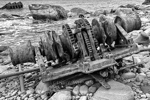 Ethie Gears, Sally Cove
