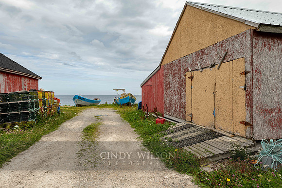 Path to the Sea, Sally's Cove 2024