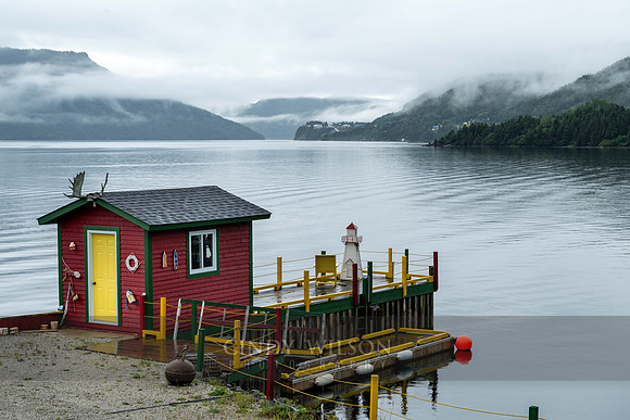 Red Stage with Antlers, Trout River, 2024