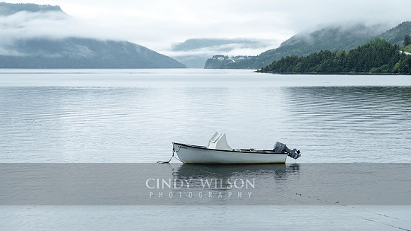 Boat at Rest, Trout River