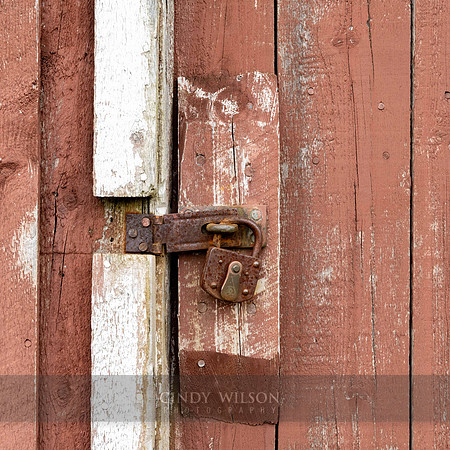 Rust on Red, 2024