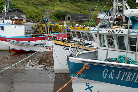 Fishing Boats, Trout River, 2024
