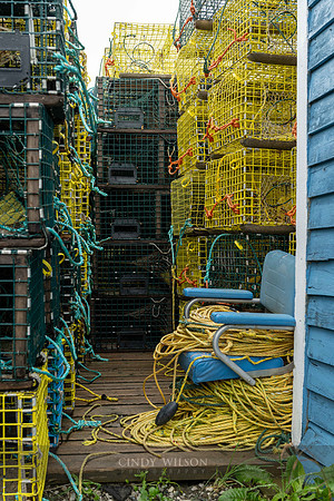 Satcked Pots, Trout River, 2024