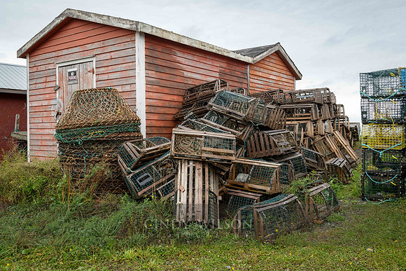 Pots, Trout River, 2024