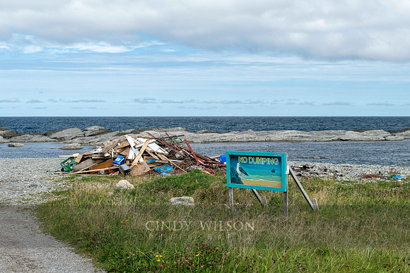 No Dumping, Cow Cove 2024