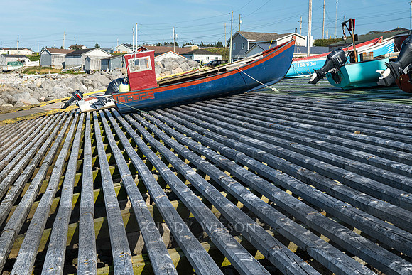 Hauled Out, River of Ponds, 2024