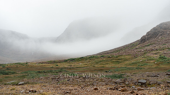 Fog Bank, Tablelands
