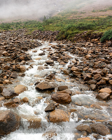 Rushing Brook, Tablelands, 2024